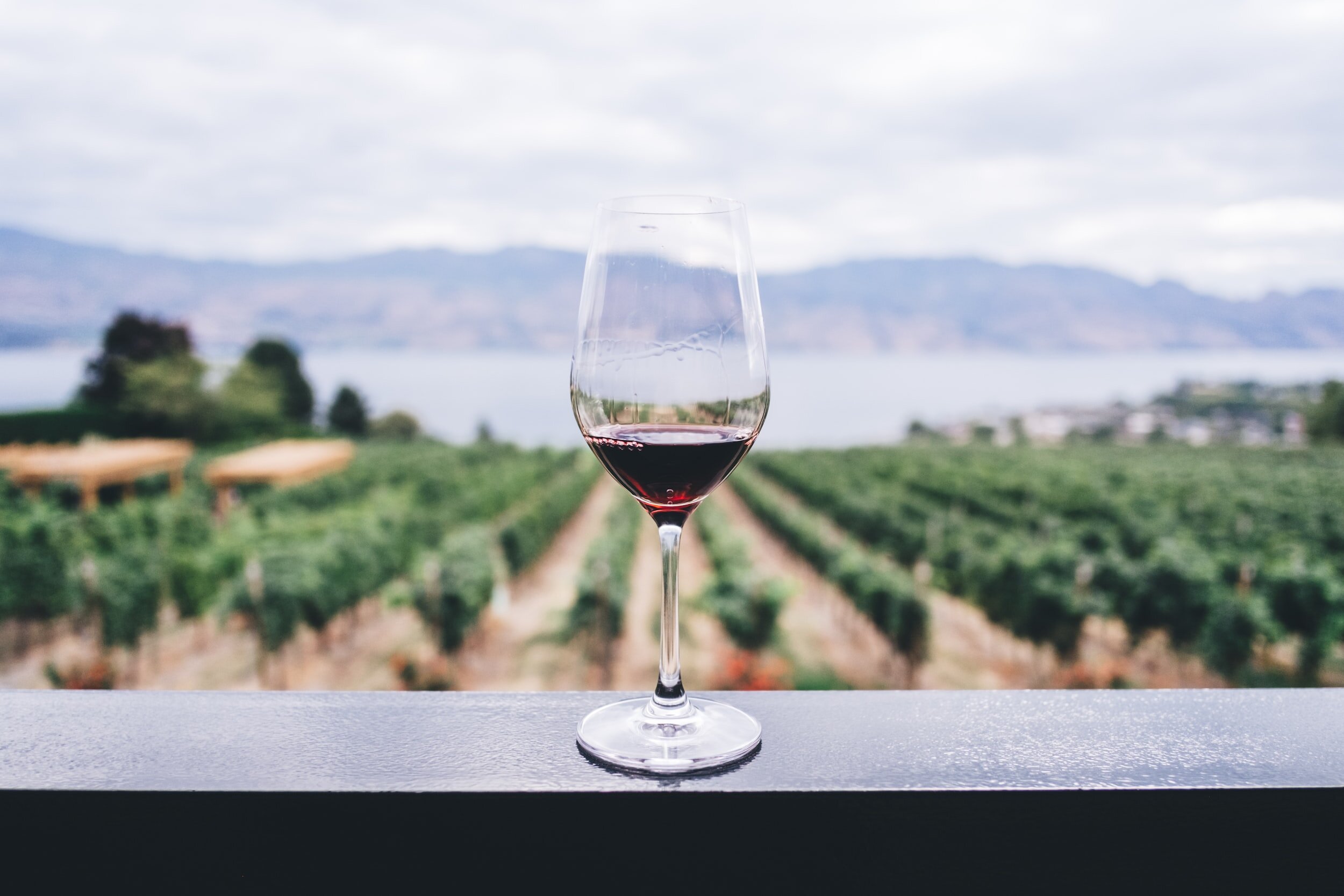 Why Drink Alcohol-Free Wine